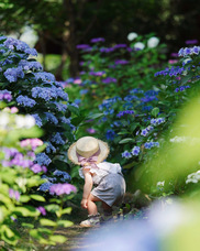 株式会社 キャッスルホテル　ホテル・ロッジ舞洲のプレスリリース画像1