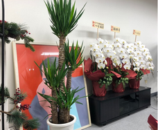 DIONPAY PTE.LTD.のプレスリリース画像2