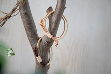 株式会社リトル・フォレストのプレスリリース画像3