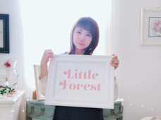 株式会社リトル・フォレストのプレスリリース画像6