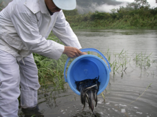 プラスソーシャルインベストメント株式会社のプレスリリース画像8