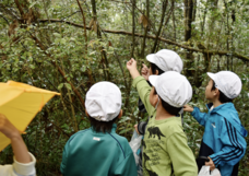 プラスソーシャルインベストメント株式会社のプレスリリース画像3