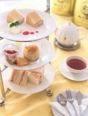 合同会社Yspaceのプレスリリース画像6