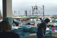 株式会社ルートアンドアクティベーションのプレスリリース画像6