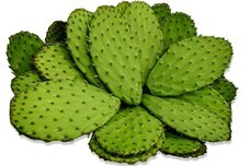 株式会社カサナチュラルのプレスリリース画像4