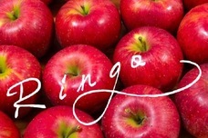 YNAのプレスリリース画像1