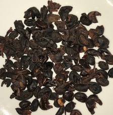 株式会社グリーンパティオのプレスリリース画像2