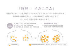 株式会社セインムーのプレスリリース画像3