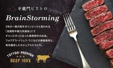 BrainStormingのプレスリリース