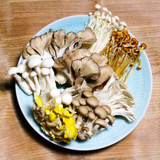 もつ福のプレスリリース画像2