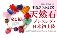 株式会社キャソードエンタープライズのプレスリリース画像1