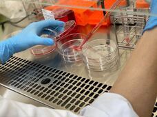 株式会社セツロテックのプレスリリース画像1