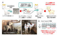 株式会社セツロテックのプレスリリース画像1