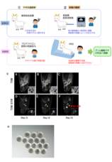 株式会社セツロテックのプレスリリース画像1