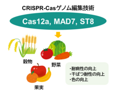 株式会社セツロテックのプレスリリース画像1