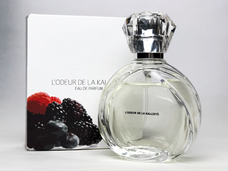 カリスト合同会社のプレスリリース画像1