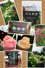 株式会社ロコファームビレッジのプレスリリース