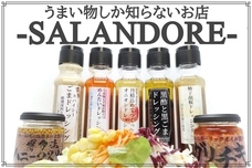 SALANDOREのプレスリリース画像1