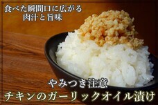 SALANDOREのプレスリリース画像1