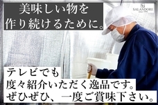 SALANDOREのプレスリリース画像1