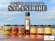 SALANDOREのプレスリリース画像1