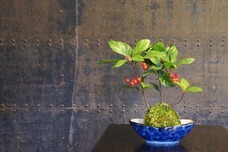 山梨ニュース～YAMANASHI NEWS～のプレスリリース画像4