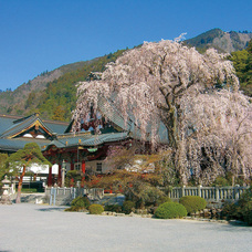 山梨ニュース～YAMANASHI NEWS～のプレスリリース画像6