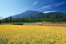 山梨ニュース～YAMANASHI NEWS～のプレスリリース画像8