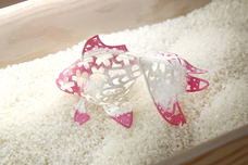 山梨ニュース～YAMANASHI NEWS～のプレスリリース画像5