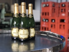 山梨ニュース～YAMANASHI NEWS～のプレスリリース画像3