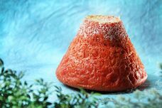 山梨ニュース～YAMANASHI NEWS～のプレスリリース画像7