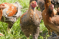 山梨ニュース～YAMANASHI NEWS～のプレスリリース画像2