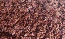 山梨ニュース～YAMANASHI NEWS～のプレスリリース画像1