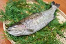 山梨ニュース～YAMANASHI NEWS～のプレスリリース画像2