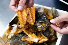 山梨ニュース～YAMANASHI NEWS～のプレスリリース画像1