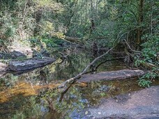 スリランカオンラインセミナー運営事務局のプレスリリース画像3