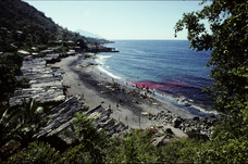 石川フォトオフィスのプレスリリース画像4