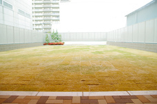 株式会社ケア21のプレスリリース画像2