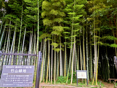 株式会社ケア21のプレスリリース画像4