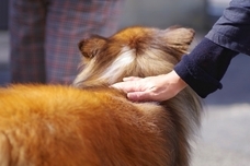 株式会社ケア21のプレスリリース画像1