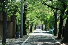 株式会社ケア21のプレスリリース画像1