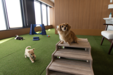 株式会社ケア21のプレスリリース画像1