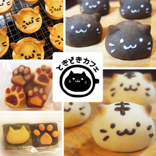 Agrize合同会社のプレスリリース画像6