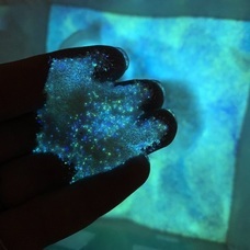 Agrize合同会社のプレスリリース画像9