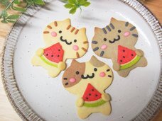 Agrize合同会社のプレスリリース画像3