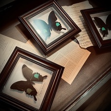 Agrize合同会社のプレスリリース画像6