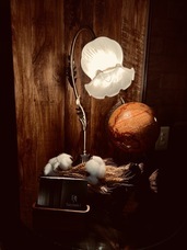 Agrize合同会社のプレスリリース画像1