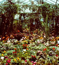 株式会社コンチネンタルサーカスピクチャーズのプレスリリース画像10