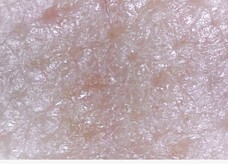 anynext株式会社のプレスリリース画像5