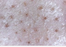 anynext株式会社のプレスリリース画像4